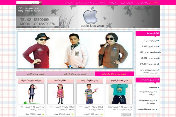 24-ZarAfshan-2sweb.ir theme websites examples