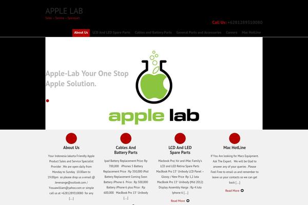 SKT IT Consultant theme site design template sample