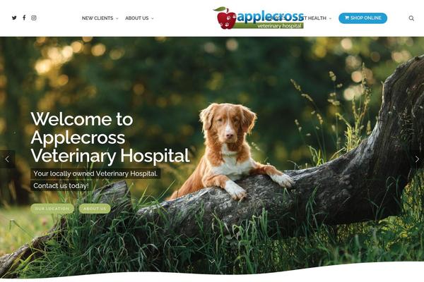 Site using Lifelearn-accessibility plugin