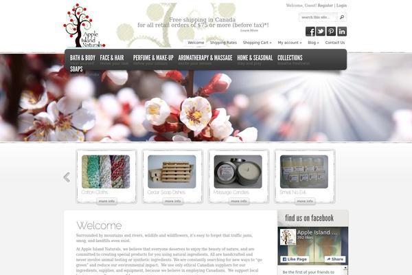 eStore theme site design template sample