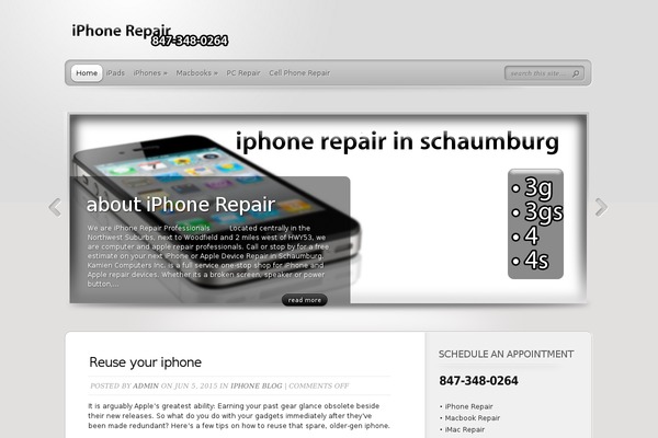 TheProfessional theme site design template sample
