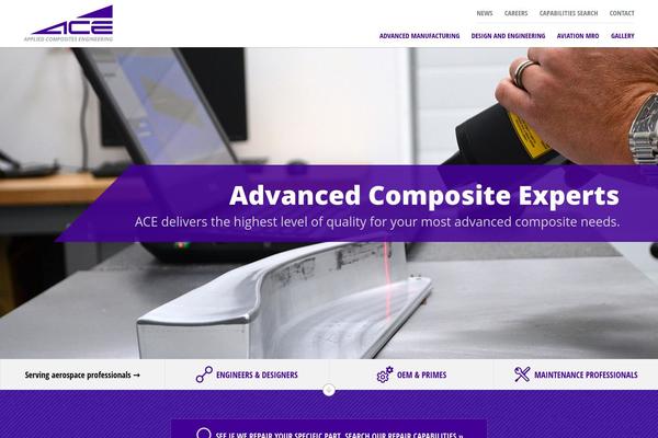 Ace theme site design template sample