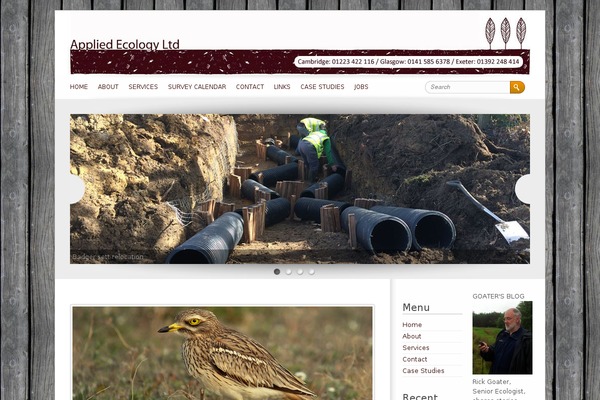Brightpage theme site design template sample
