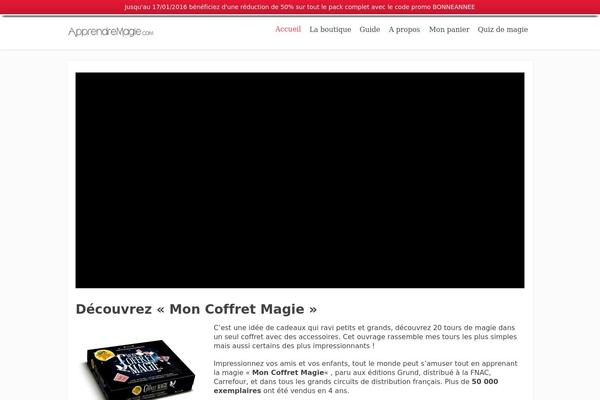 Focusblog theme site design template sample