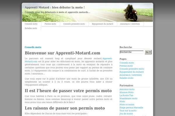 Islemag theme site design template sample