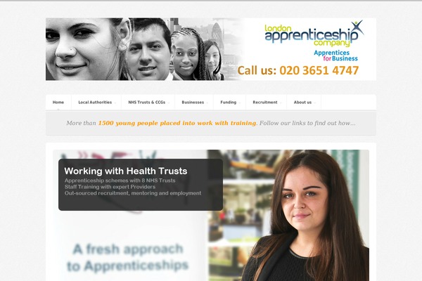 apprenticeship-consultancy.co.uk site used Shots