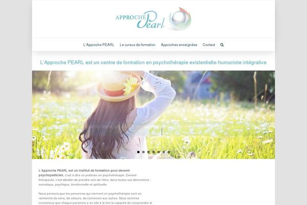 Site using Official-facebook-pixel plugin