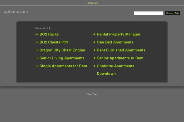 iPin Pro theme site design template sample