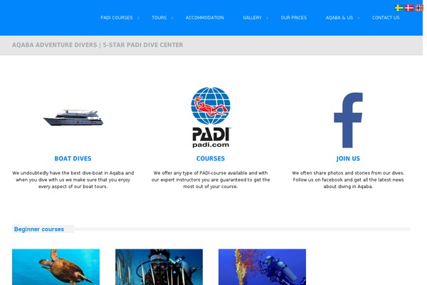 Circles theme site design template sample