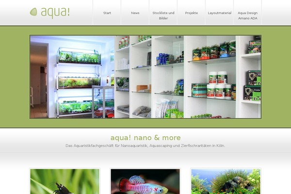 Polyon theme site design template sample