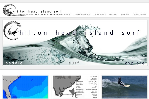 WP Opulus theme site design template sample