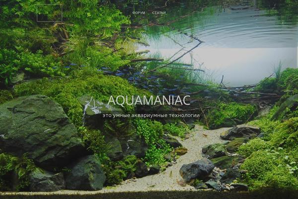 Salient theme site design template sample