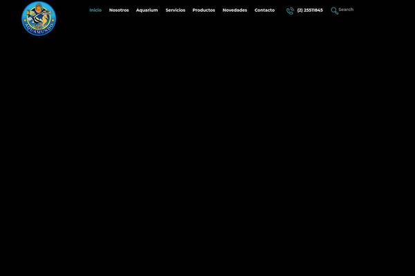 aquamundo.cl site used Aquapro
