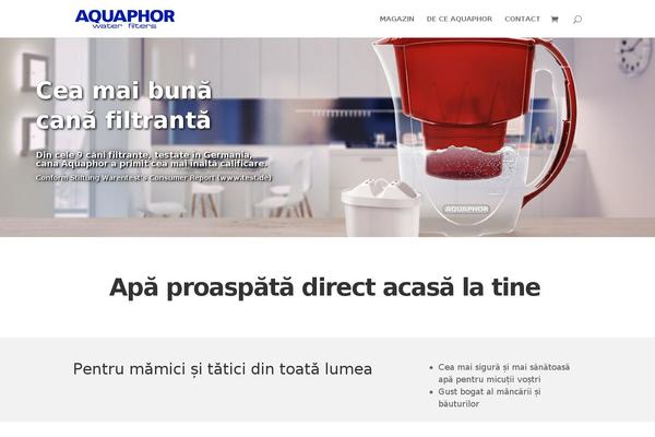 Divichild theme site design template sample