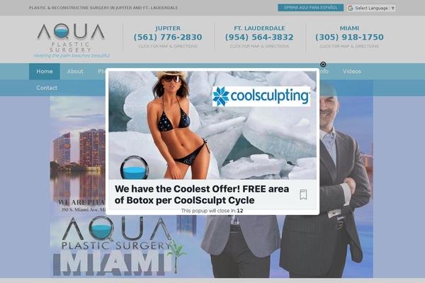 Aps theme site design template sample