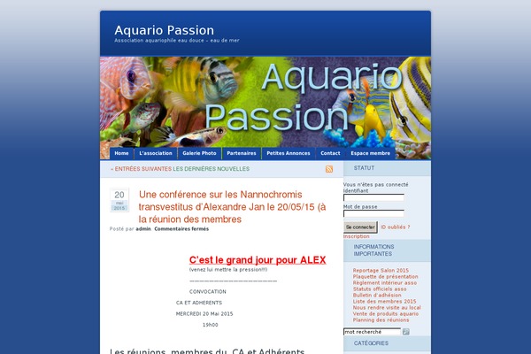 Ocean Mist 2.0 theme site design template sample