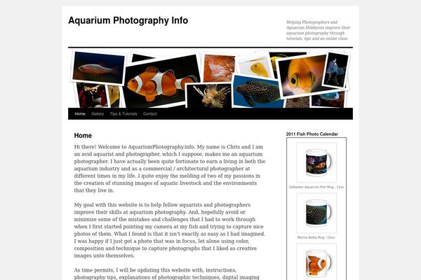 Twenty Ten theme site design template sample