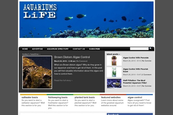 Arthemia theme site design template sample