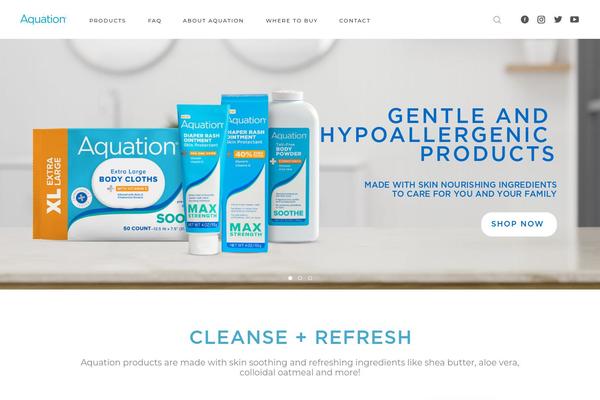 Biagiotti theme site design template sample