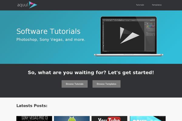 Site using Autoptimize plugin