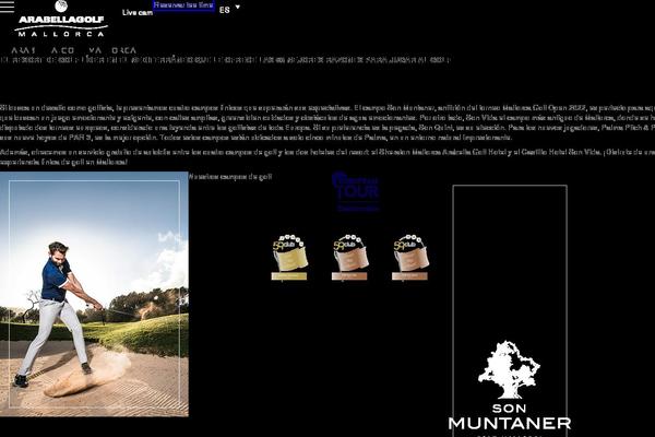 Site using SVG Support plugin