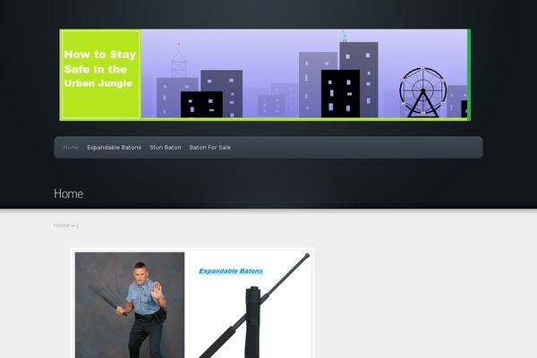 Envisioned theme site design template sample