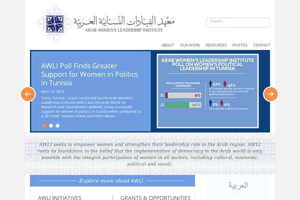 awli theme websites examples