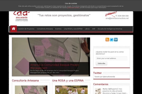 Sahifa theme site design template sample