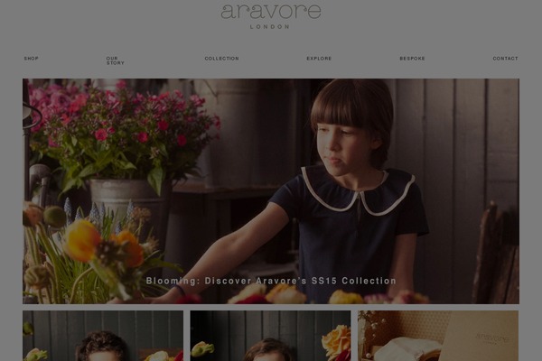 aravore.com site used Online-blog
