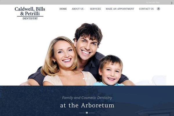 Optimizer_pro theme site design template sample