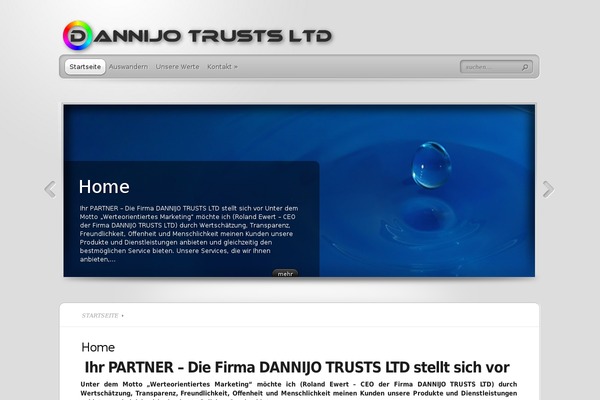 TheProfessional theme site design template sample