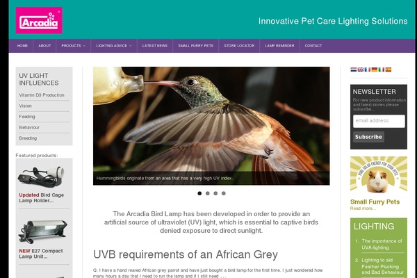 Strappress theme site design template sample