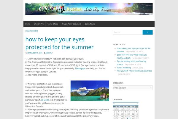 WP-Forge theme site design template sample