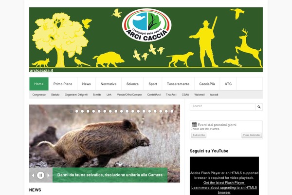 100vjet theme site design template sample