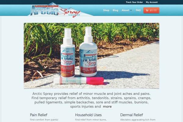 Capital theme site design template sample
