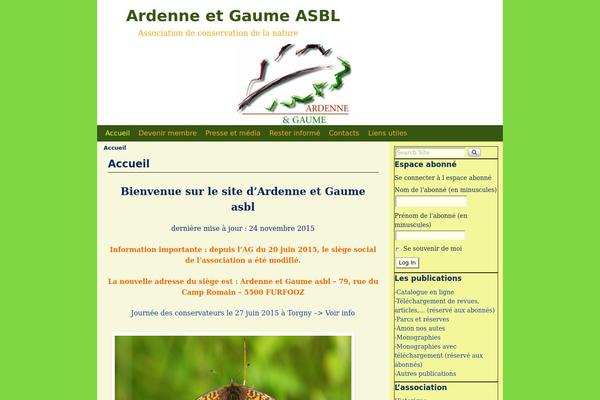 Aspen theme site design template sample