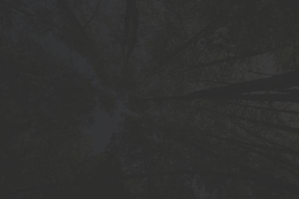 Idol theme site design template sample