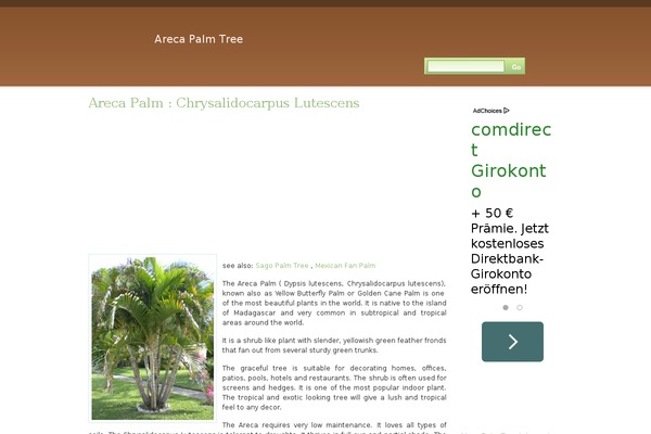 arecapalmtree.com site used Peaceonearth