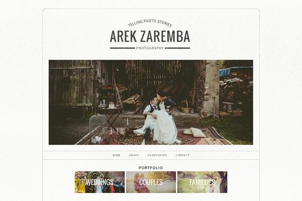 Ashe theme site design template sample