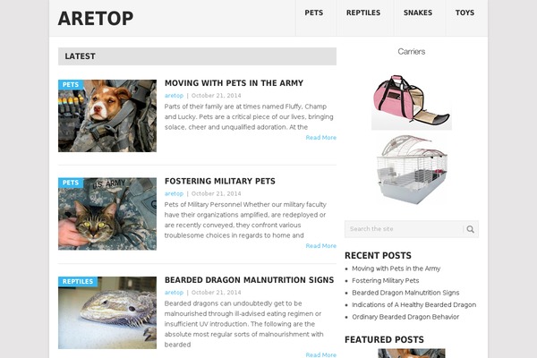 Point theme site design template sample