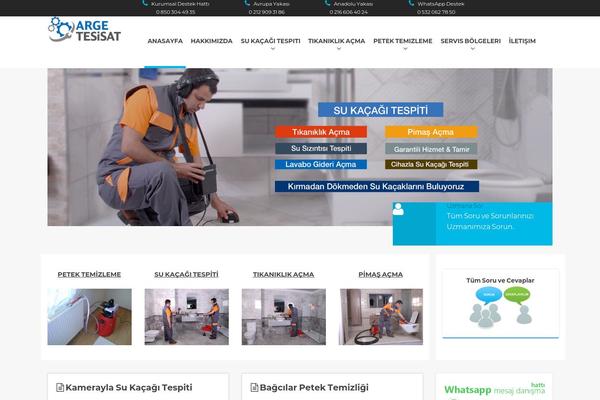 Site using WP Rocket plugin