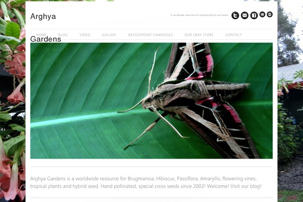 Elegance theme site design template sample