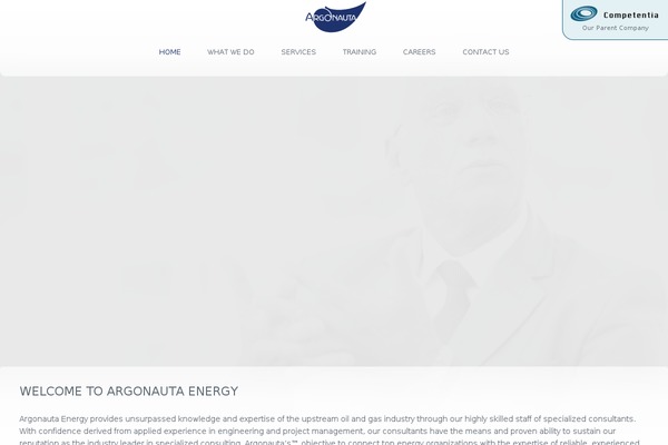 The Company theme site design template sample
