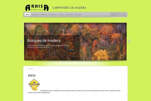 arhisa.com site used TheProfessional