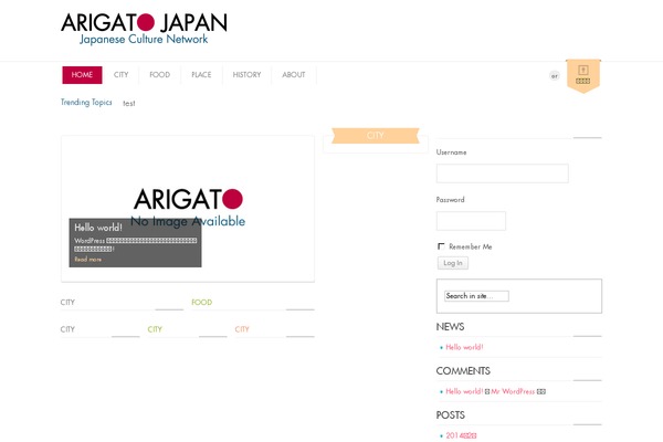 Opinions theme site design template sample