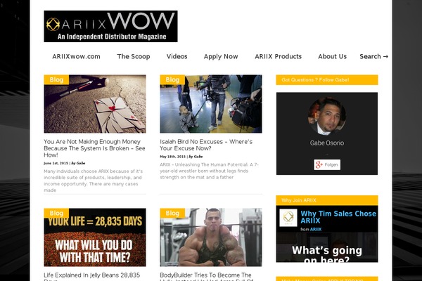 Gonzo theme site design template sample