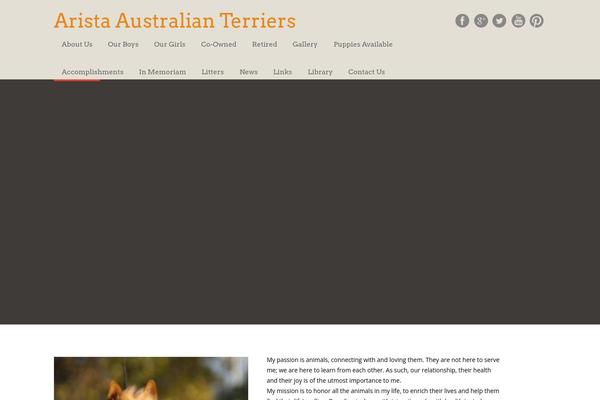 Appdev theme site design template sample