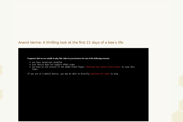 Twentytwelve-child theme site design template sample