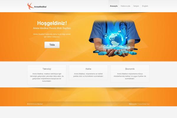 wColor theme site design template sample