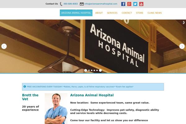 SoulMedic theme site design template sample